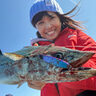 伊勢湾奥で「サワラキャスティング」！