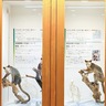 ズーラシア　25年の歩み振り返る　３月３日まで企画展
