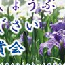 須磨離宮公園で『花しょうぶ