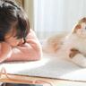 疲れ切って早退してきた娘に猫がとった行動…思わず涙してしまう『心温まる瞬間』が42万6000再生「泣いてしまった」「最高の治療薬」