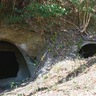 㹨川流域の鎌倉式横穴墓　県内の８割が栄区に　27日まで企画展示