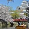 【超入門！お城セミナー】【鑑賞】江戸時代、お城に桜は咲いてなかったって本当？
