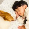 ちいさな男の子が眠りそうになったら、犬が…ほっこりが止まらない『尊すぎる寝かしつけ』が32万再生「癒し効果絶大」「なんて幸せなの」と絶賛