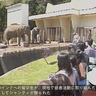 日本平動物園を訪ねる（その参）