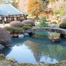 鶴川香山園ライトアップ　６月末まで