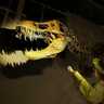 よみうりランドで「恐竜アドベンチャー展ダイナソーメイズ」開催！触れる化石の展示や、ナイトミュージアム体験も｜GW2024