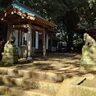 誉田八幡神社で「どんど焼き」1月15日開催！地球にやさしい素材だけ【習志野市】