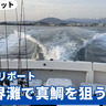 【船釣り実釣リポート】春の玄界灘で真鯛を狙う！