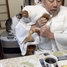 猫ちゃんをむんずとつかんで懐へ……お寺の住職の朝が幸せそうすぎる！