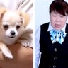 実家の犬が亡くなり『もう絶対犬を飼わない』と言う母→内緒で子犬を連れて行ったら…100点満点なリアクションが133万再生「葛藤がｗ」と反響