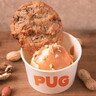 アメリカンクッキーの新ブランド「PUG」が「ららぽーと愛知東郷」にオープン！