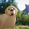主人公の猫と、旅を共にする動物たちのユーモア溢れる姿がお目見え『Flow』本編映像初解禁