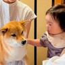 赤ちゃんが『初めて犬を見た』結果…犬たちによる『まさかの対応』が優しすぎると61万再生「空気読んでてスゴイ」「なんてお利口なの」