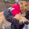 『高いところに登りたい』と駄々をこねる大型犬→乗せてみた結果…まるで『大きな赤ちゃんのような光景』に悶絶「最高に可愛い」「顔がたまらん」