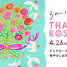 華やかなピンクローズがEKIZOとサンキタ通りを彩ります♡　EKIZO神戸三宮で3周年記念イベント「THANKS