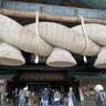 『神社の数はコンビニの5倍？』神社の数と分類、12の代表系統を解説