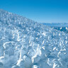 山形・蔵王温泉「樹氷ライトアップ」夜に浮かぶスノーモンスターの群れ！2023-24シーズンは12/23～