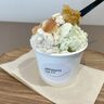 【合志市】意外な野菜のジェラートも！驚きの食材で作る贅沢で優しいジェラートが食べられるのはここだけ！「gelateria