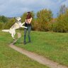 犬が急に『興奮』するのはなぜ？4つの心理から落ち着かせるための対処法まで