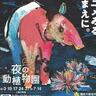 今年も開催！福岡市動植物園の人気イベント「夜の動植物園」毎週土曜日に開催！