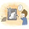 ハウス拒否の理由は…？猫のドヤ顔に困惑する預かり犬モナさん【猫エッセイ】交通事故にあった猫を拾いました