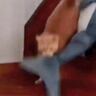 お留守番中に寂しくなった猫→上の階から降りてきたと思ったら…カメラが捉えた『愛おしすぎる瞬間』が220万表示「本当に可愛い」「尊い」