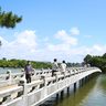 実は釣りができるんです！福岡市民のオアシス「大濠公園」【福岡市中央区】