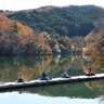 今週のヘラブナ推薦釣り場2025【静岡・早霧湖】