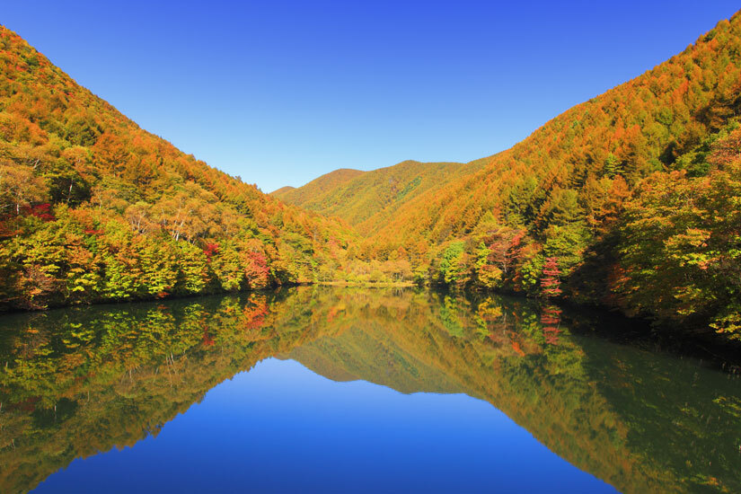 掛軸 広田超遊 渓谷之秋 木箱 紅葉 風景画 山水 掛軸 広田超遊 渓谷之秋 木箱 紅葉 風景画 山水 掛軸 広田超