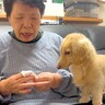 犬嫌いだった母が…飼い主の入院でしてくれた『まさかのお世話』に感動が止まらない「素敵なお母さま」「まるで孫のよう」と290万再生を突破