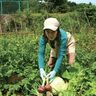 田舎へ移住したら菜園を楽しみたい！　菜園を始めるために知っておいて損はない基礎知識を紹介【知っておきたい！　基本のき～菜園編～】