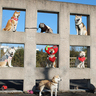 “柴犬マンション”で集合写真　飼い主が注目　伊賀・上野南公園のオブジェ