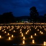 今年も幻想的な光が古都の夜を包み込む、奈良の夏の風物詩「なら燈花会」開催【奈良市】