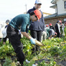 耕作放棄地対策食育兼ねて　大物とれたよ