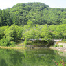 現存する中で最も古い城掟が残る国史跡「鏡山城跡」の歴史【東広島史】