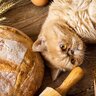 猫に『パン』はあげちゃダメ！危険と言われる4つの理由と、パンに含まれる猫には有害な成分を解説