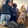 過保護に育てられた犬が『赤ちゃんの子守』をした結果…まさかの『心配性すぎる姿』が31万再生「頼もしい用心棒」「安心して見てられる」