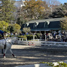 根岸競馬記念公苑が12月28日から長期休苑に