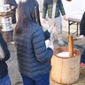 中山小５年生100人　地域の協力で餅つき体験　自ら収穫した米