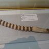 この棒、何に使うかわかる？『ゴールデンカムイ』でも大注目！アイヌ文化について学べる「函館市北方民族資料館」に行ってみた