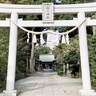 星川杉山神社　神の恵みに感謝を　23日に新嘗祭