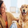 犬が足で『ちょいちょい』してくる心理4つ　なにを要求しているの？愛犬からのサインへの応え方まで