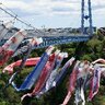 茨城・竜神峡の空に1000匹の鯉が舞う！　大吊り橋と並んで泳ぐ〝群れ〟が生まれた意外な理由