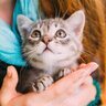 猫が飼い主さんの『体調不良を察知する』と思われている4つの理由　気遣ってくれる仕草、本当の気持ちは？