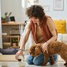 犬にごはんを与えるときの『絶対NG行為』5選　飼い主の誤った行動が愛犬へ与える健康被害とは