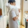 猫ド素人の一家が『白猫』を家族に迎えた結果…まさかの『下僕化完了』に爆笑！19万2000再生「乗っ取られたい…」「ミッション完了！」