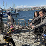 新鮮な海産物に笑顔　横浜市金沢区の「金沢漁港海産物フェスタ」に約１万人