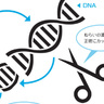 人類の進化のカギ「ゲノム編集」で何ができる？【眠れなくなるほど面白い