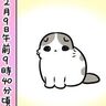 大好きな愛猫に伝えたい“ありがとう”【猫マンガ】もふもふスコたん