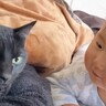 パパがお昼寝していたら、猫がまわりに集まってきて…あまりにも癒される『可愛すぎる光景』に「素敵だね」「なんと朗らかな空間」と反響